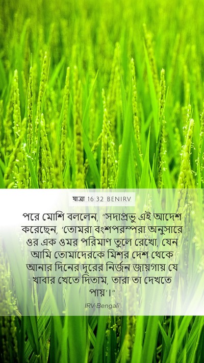 যাত্ৰা 16:32 BENIRV Bible Verse Image