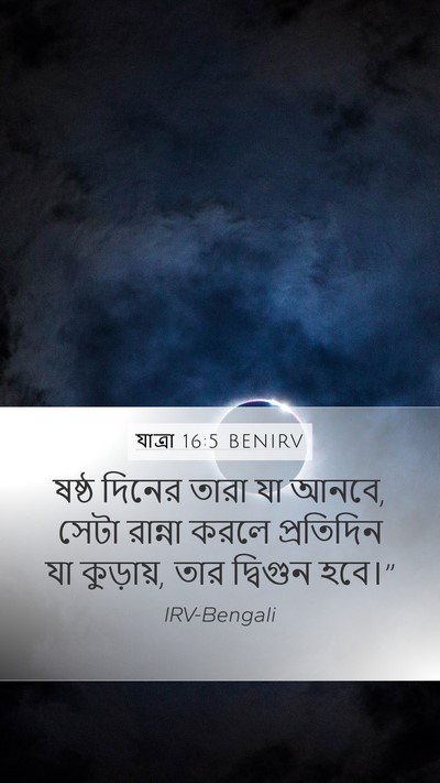 যাত্ৰা 16:5 BENIRV Mobile Phone Wallpaper - ষষ্ঠ দিনের তারা যা - Mobile Bible Verse Wallpaper