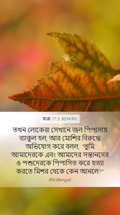 যাত্ৰা 17:3 BENIRV Bible Verse Image