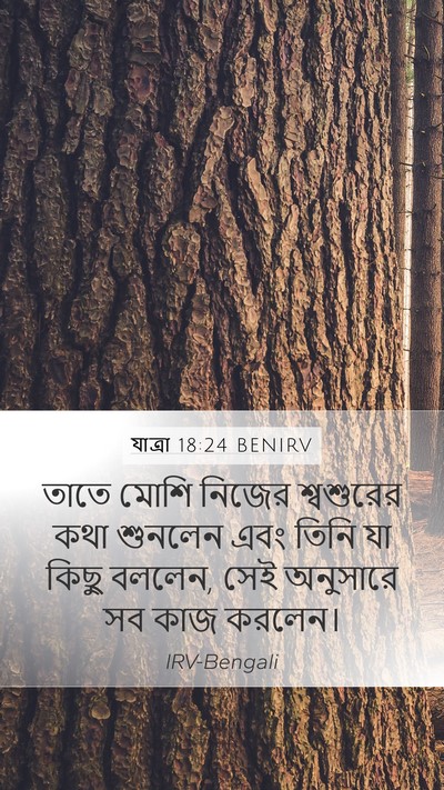 যাত্ৰা 18:24 BENIRV Mobile Phone Wallpaper - তাতে মোশি নিজের - Mobile Bible Verse Wallpaper