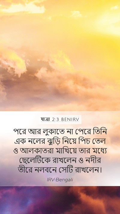 যাত্ৰা 2:3 BENIRV Bible Verse Image