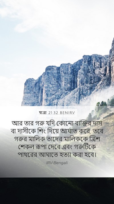 যাত্ৰা 21:32 BENIRV Bible Verse Image