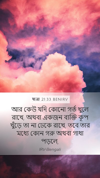 যাত্ৰা 21:33 BENIRV Bible Verse Image