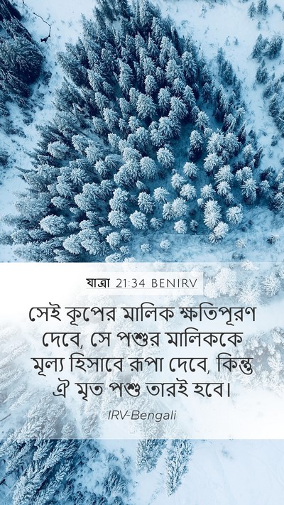 যাত্ৰা 21:34 BENIRV Bible Verse Image