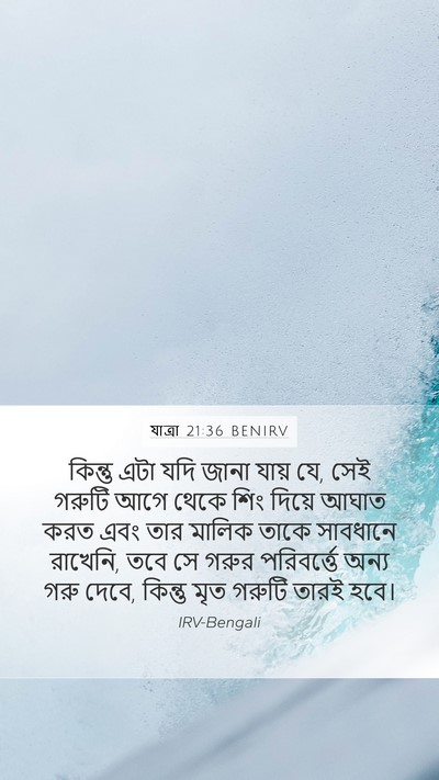 যাত্ৰা 21:36 BENIRV Mobile Phone Wallpaper - কিন্তু এটা যদি - Mobile Bible Verse Wallpaper