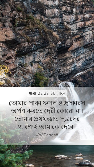 যাত্ৰা 22:29 BENIRV Bible Verse Image