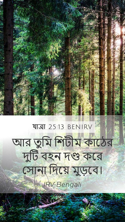যাত্ৰা 25:13 BENIRV Bible Verse Image