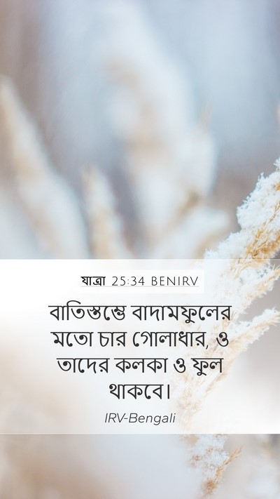 যাত্ৰা 25:34 BENIRV Mobile Phone Wallpaper - বাতিস্তম্ভে - Mobile Bible Verse Wallpaper