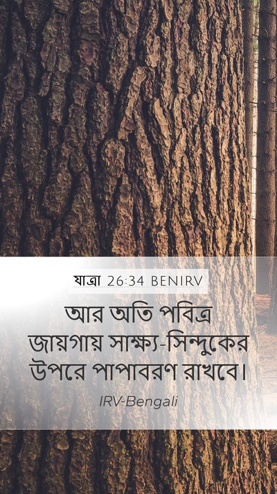 যাত্ৰা 26:34 BENIRV Bible Verse Image