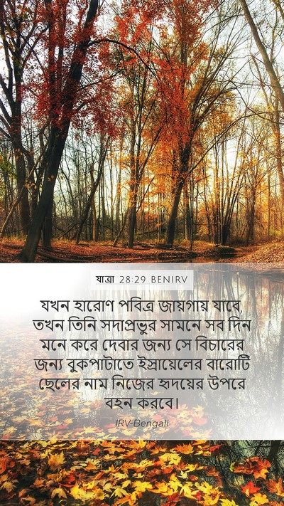 যাত্ৰা 28:29 BENIRV Bible Verse Image