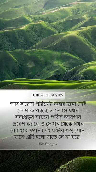যাত্ৰা 28:35 BENIRV Bible Verse Image
