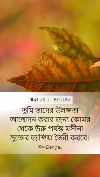 যাত্ৰা 28:42 BENIRV Mobile Phone Wallpaper - তুমি তাদের - Mobile Bible Verse Wallpaper