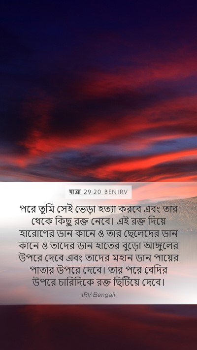 যাত্ৰা 29:20 BENIRV Bible Verse Image