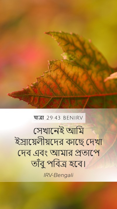 যাত্ৰা 29:43 BENIRV Bible Verse Image