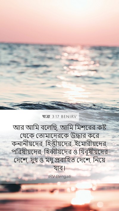যাত্ৰা 3:17 BENIRV Bible Verse Image
