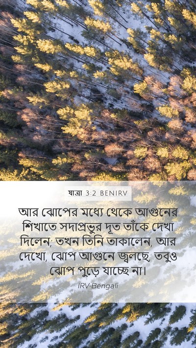 যাত্ৰা 3:2 BENIRV Bible Verse Image