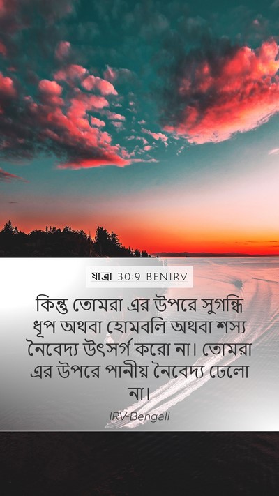 যাত্ৰা 30:9 BENIRV Bible Verse Image