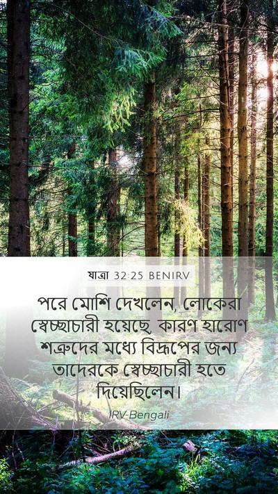 যাত্ৰা 32:25 BENIRV Bible Verse Image
