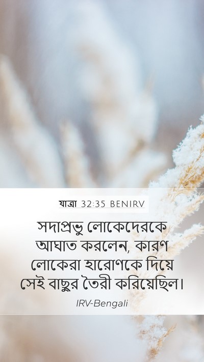 যাত্ৰা 32:35 BENIRV Mobile Phone Wallpaper - সদাপ্রভু - Mobile Bible Verse Wallpaper