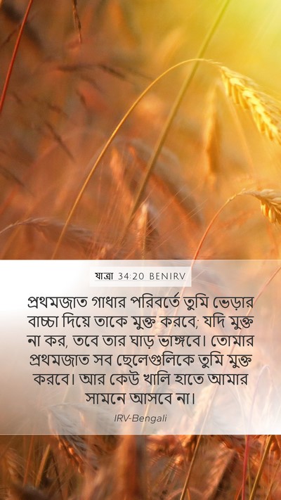 যাত্ৰা 34:20 BENIRV Bible Verse Image