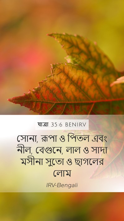 যাত্ৰা 35:6 BENIRV Mobile Phone Wallpaper - সোনা, রূপা ও পিতল - Mobile Bible Verse Wallpaper