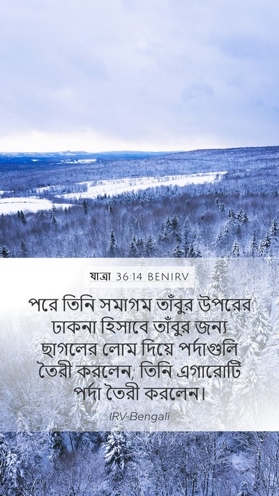 যাত্ৰা 36:14 BENIRV Bible Verse Image