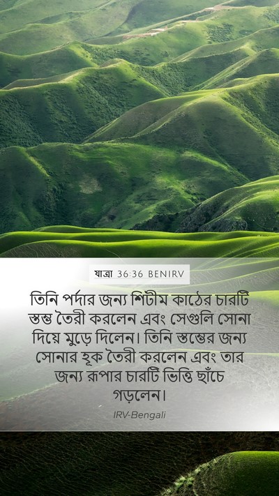 যাত্ৰা 36:36 BENIRV Bible Verse Image