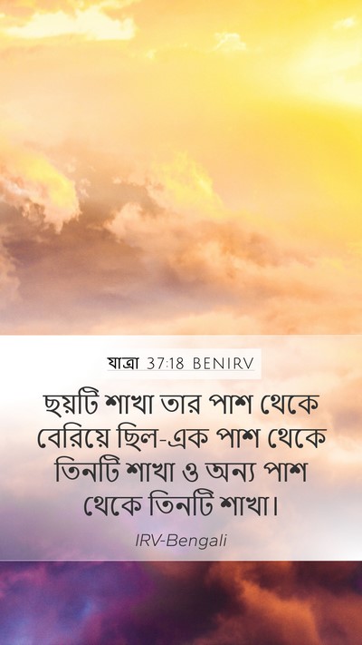 যাত্ৰা 37:18 BENIRV Mobile Phone Wallpaper - ছয়টি শাখা তার পাশ - Mobile Bible Verse Wallpaper
