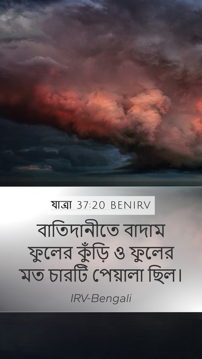 যাত্ৰা 37:20 BENIRV Bible Verse Image