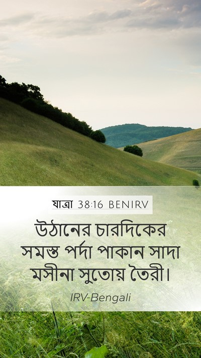 যাত্ৰা 38:16 BENIRV Mobile Phone Wallpaper - উঠানের চারদিকের - Mobile Bible Verse Wallpaper