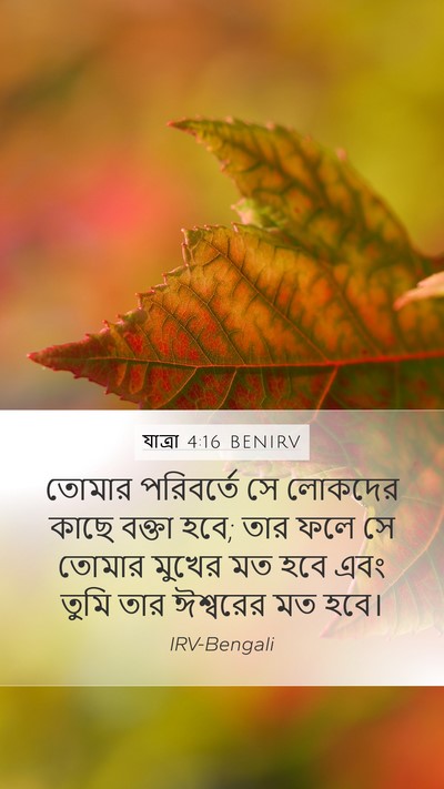 যাত্ৰা 4:16 BENIRV Bible Verse Image