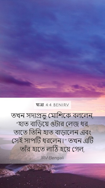 যাত্ৰা 4:4 BENIRV Bible Verse Image