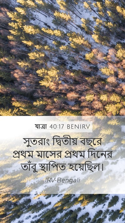যাত্ৰা 40:17 BENIRV Bible Verse Image