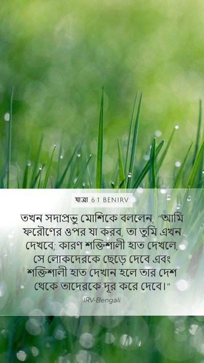 যাত্ৰা 6:1 BENIRV Bible Verse Image