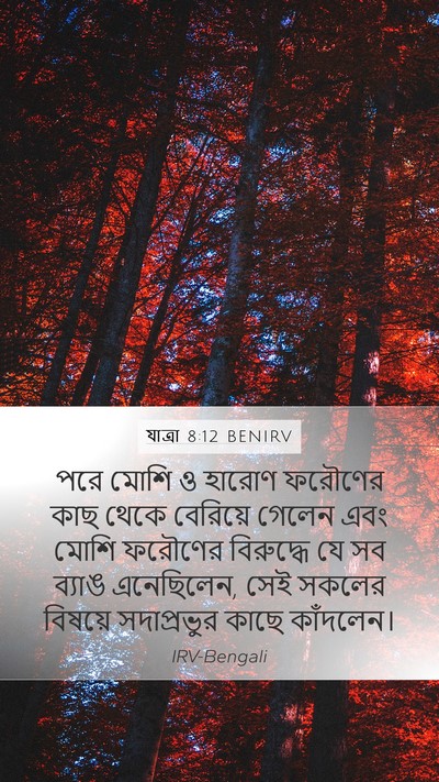 যাত্ৰা 8:12 BENIRV Bible Verse Image
