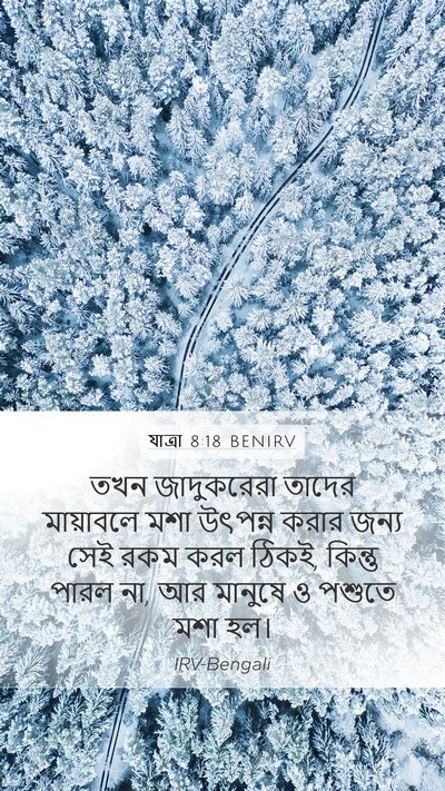 যাত্ৰা 8:18 BENIRV Bible Verse Image