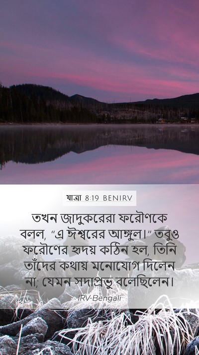যাত্ৰা 8:19 BENIRV Bible Verse Image