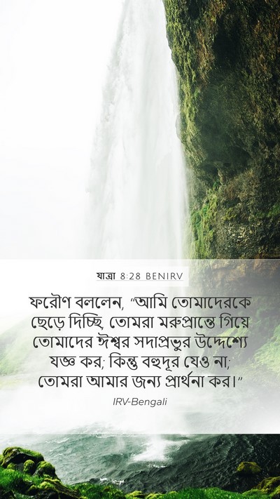 যাত্ৰা 8:28 BENIRV Bible Verse Image