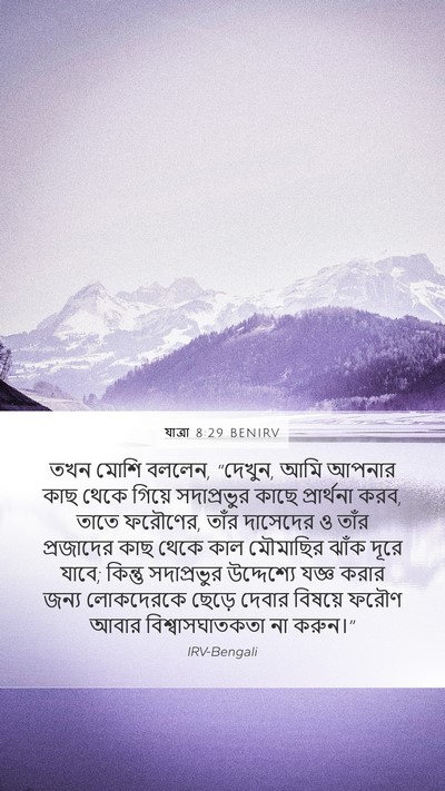 যাত্ৰা 8:29 BENIRV Bible Verse Image