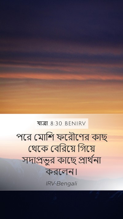 যাত্ৰা 8:30 BENIRV Bible Verse Image