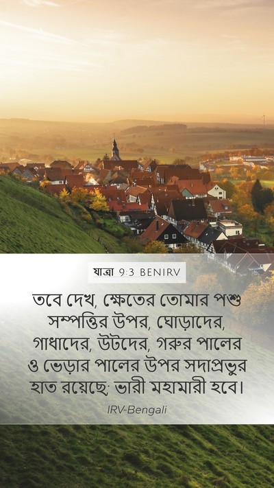 যাত্ৰা 9:3 BENIRV Bible Verse Image