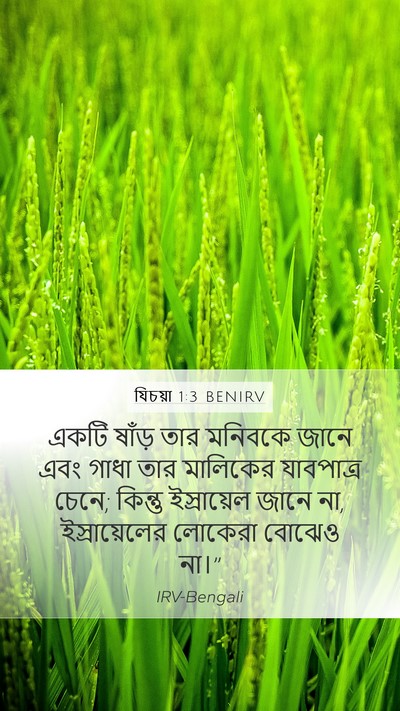 যিচয়া 1:3 BENIRV Bible Verse Image