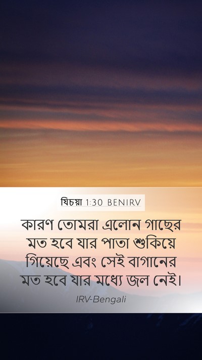যিচয়া 1:30 BENIRV Bible Verse Image