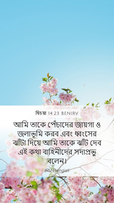 যিচয়া 14:23 BENIRV Bible Verse Image