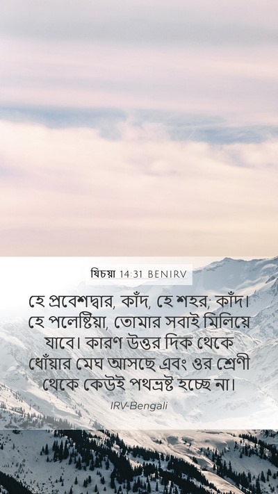 যিচয়া 14:31 BENIRV Bible Verse Image