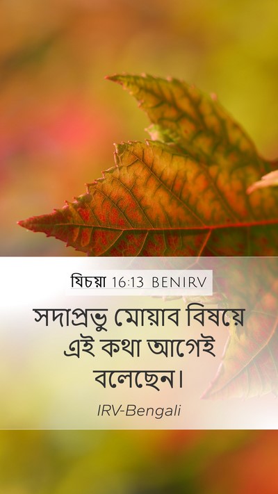 যিচয়া 16:13 BENIRV Mobile Phone Wallpaper - সদাপ্রভু মোয়াব - Mobile Bible Verse Wallpaper