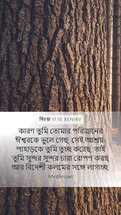 যিচয়া 17:10 BENIRV Bible Verse Image