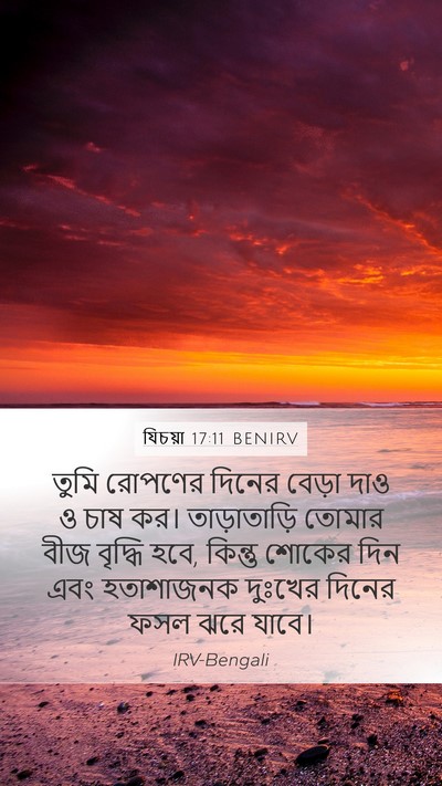 যিচয়া 17:11 BENIRV Bible Verse Image