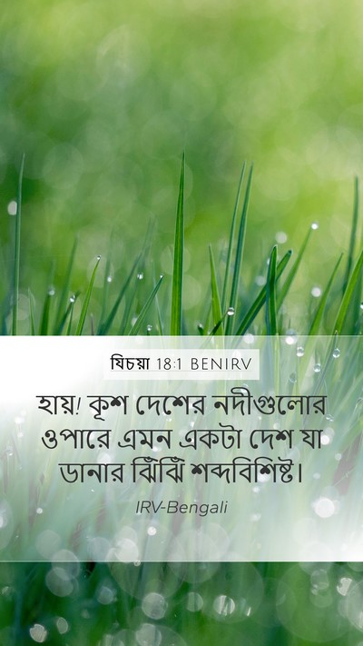 যিচয়া 18:1 BENIRV Mobile Phone Wallpaper - হায়! কূশ দেশের - Mobile Bible Verse Wallpaper