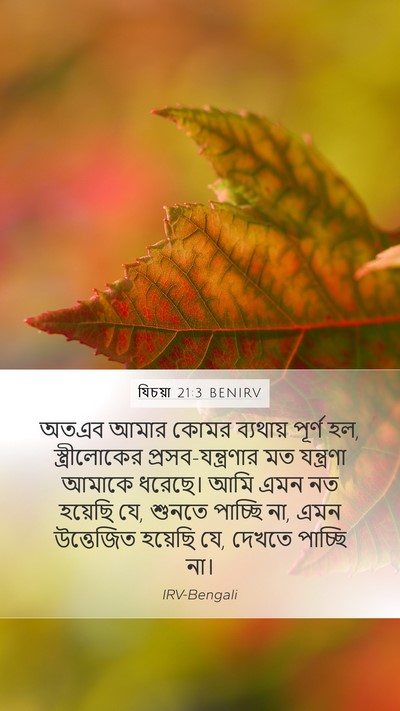 যিচয়া 21:3 BENIRV Bible Verse Image